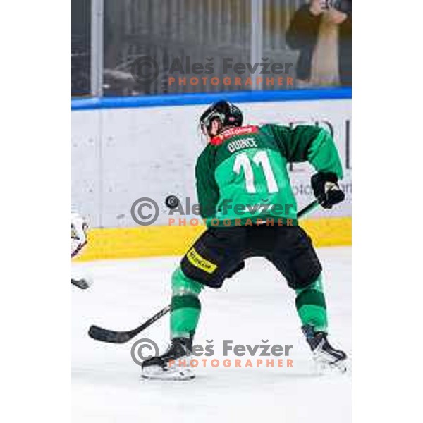 Marly Quince of SZ Olimpija in action during IceHL 2025/2026 ice-hockey match between SZ Olimpija and Sudtirol Alperia in Tivoli Hall, Ljubljana, Slovenia on November 14, 2025