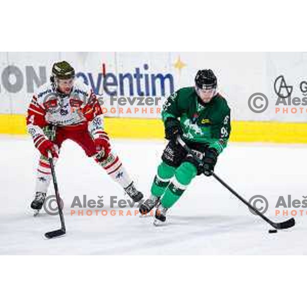 of SZ Olimpija in action during IceHL 2025/2026 ice-hockey match between SZ Olimpija and Sudtirol Alperia in Tivoli Hall, Ljubljana, Slovenia on November 14, 2025
