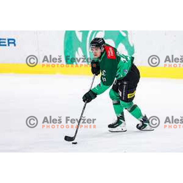 Jaka Sodja of SZ Olimpija in action during IceHL 2025/2026 ice-hockey match between SZ Olimpija and Sudtirol Alperia in Tivoli Hall, Ljubljana, Slovenia on November 14, 2025