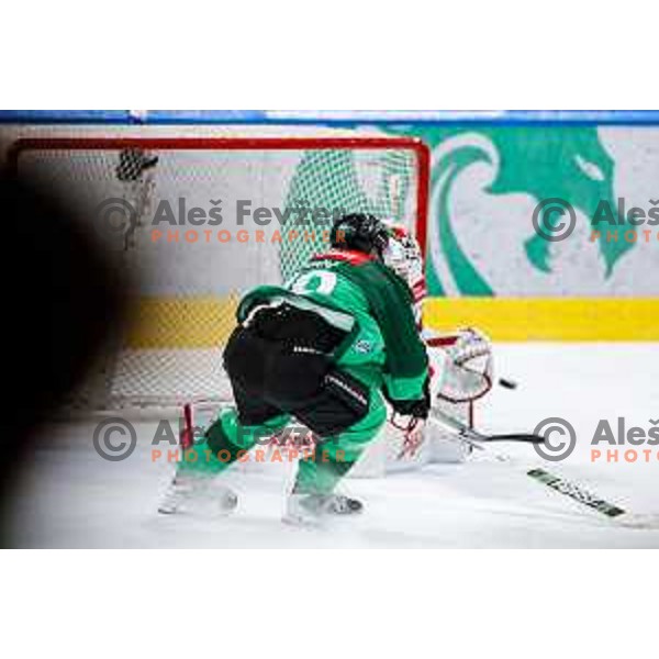 Miha Bericic of SZ Olimpija scores a goal during IceHL 2025/2026 ice-hockey match between SZ Olimpija and Sudtirol Alperia in Tivoli Hall, Ljubljana, Slovenia on November 14, 2025