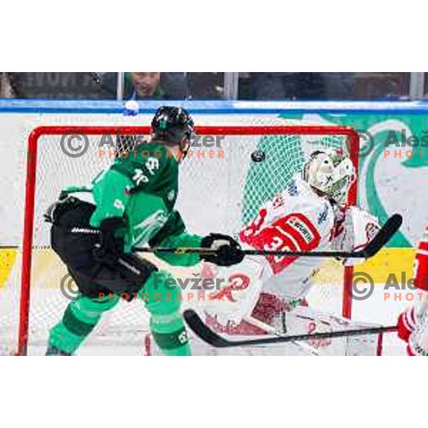 Miha Bericic of SZ Olimpija scores a goal during IceHL 2025/2026 ice-hockey match between SZ Olimpija and Sudtirol Alperia in Tivoli Hall, Ljubljana, Slovenia on November 14, 2025