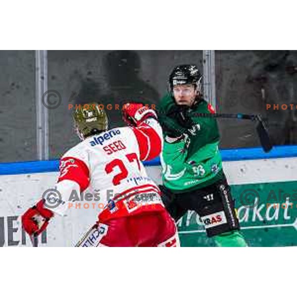 Nicolai Meyer of SZ Olimpija in action during IceHL 2025/2026 ice-hockey match between SZ Olimpija and Sudtirol Alperia in Tivoli Hall, Ljubljana, Slovenia on November 14, 2025