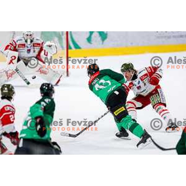 of SZ Olimpija in action during IceHL 2025/2026 ice-hockey match between SZ Olimpija and Sudtirol Alperia in Tivoli Hall, Ljubljana, Slovenia on November 14, 2025