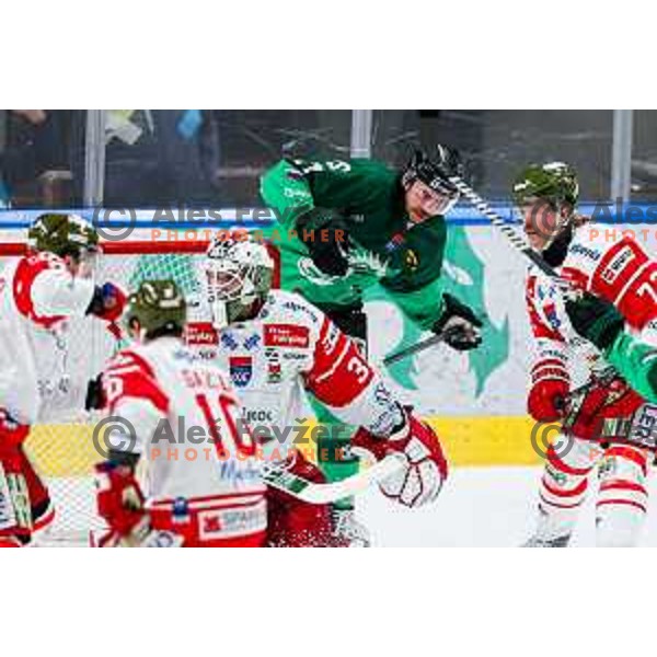 of SZ Olimpija in action during IceHL 2025/2026 ice-hockey match between SZ Olimpija and Sudtirol Alperia in Tivoli Hall, Ljubljana, Slovenia on November 14, 2025