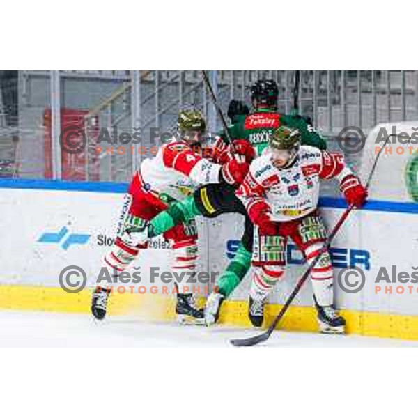 Miha Bericic of SZ Olimpija in action during IceHL 2025/2026 ice-hockey match between SZ Olimpija and Sudtirol Alperia in Tivoli Hall, Ljubljana, Slovenia on November 14, 2025