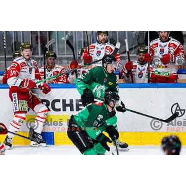 of SZ Olimpija in action during IceHL 2025/2026 ice-hockey match between SZ Olimpija and Sudtirol Alperia in Tivoli Hall, Ljubljana, Slovenia on November 14, 2025