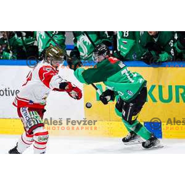 of SZ Olimpija in action during IceHL 2025/2026 ice-hockey match between SZ Olimpija and Sudtirol Alperia in Tivoli Hall, Ljubljana, Slovenia on November 14, 2025