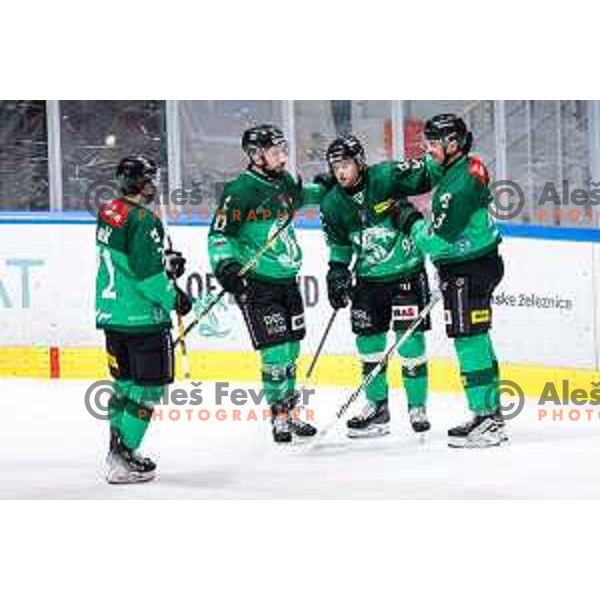 Nicolai Meyer and players of SZ Olimpija celebrate a goal during IceHL 2025/2026 ice-hockey match between SZ Olimpija and Sudtirol Alperia in Tivoli Hall, Ljubljana, Slovenia on November 14, 2025
