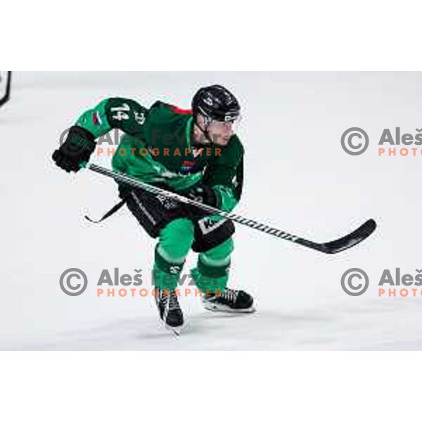 of SZ Olimpija in action during IceHL 2025/2026 ice-hockey match between SZ Olimpija and Sudtirol Alperia in Tivoli Hall, Ljubljana, Slovenia on November 14, 2025
