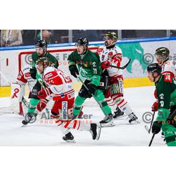 of SZ Olimpija in action during IceHL 2025/2026 ice-hockey match between SZ Olimpija and Sudtirol Alperia in Tivoli Hall, Ljubljana, Slovenia on November 14, 2025
