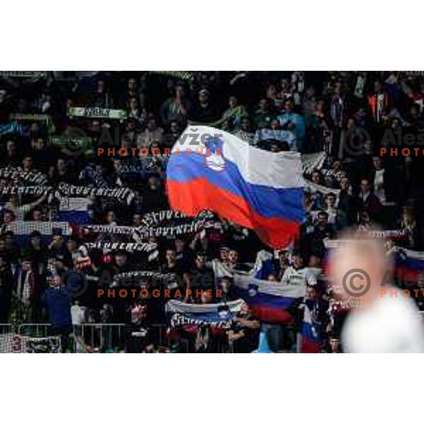 in action during FIFA World Cup 2026 European Qualifiers match between Slovenia and Kosovo in SRC Stozice, Ljubljana, Slovenia on Noivember 15, 2025