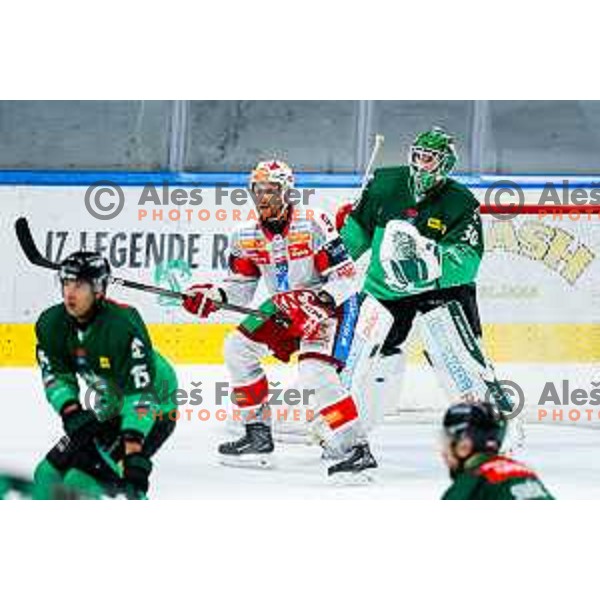 Jan Mursak of KAC in action during IceHL 2025/2026 ice-hockey match between SZ Olimpija and KAC in Tivoli Hall, Ljubljana, Slovenia on November 16, 2025