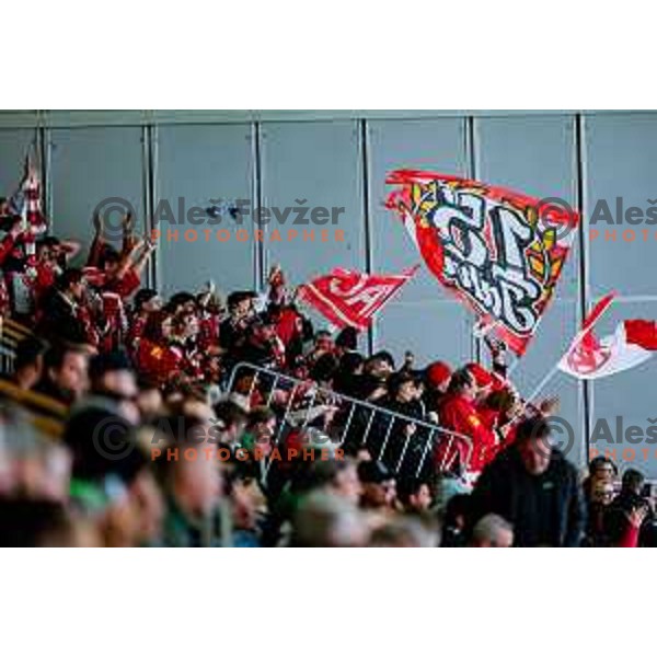 Fans of KAC celebrate victory at IceHL 2025/2026 ice-hockey match between SZ Olimpija and KAC in Tivoli Hall, Ljubljana, Slovenia on November 16, 2025