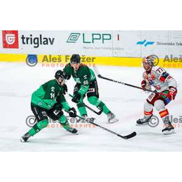 Jan Cosic and Rozle Bohinc of SZ Olimpija in action during IceHL 2025/2026 ice-hockey match between SZ Olimpija and KAC in Tivoli Hall, Ljubljana, Slovenia on November 16, 2025