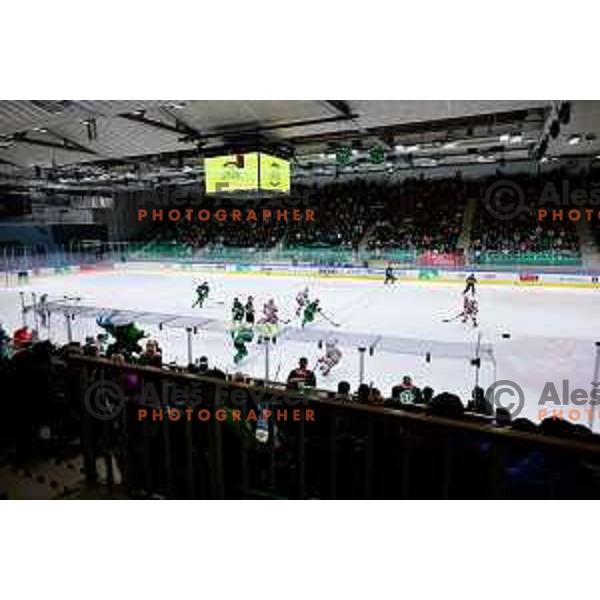 of SZ Olimpija in action during IceHL 2025/2026 ice-hockey match between SZ Olimpija and KAC in Tivoli Hall, Ljubljana, Slovenia on November 16, 2025