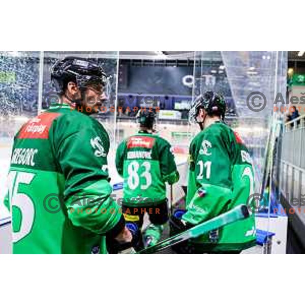 Blaz Gregorc of SZ Olimpija in action during IceHL 2025/2026 ice-hockey match between SZ Olimpija and KAC in Tivoli Hall, Ljubljana, Slovenia on November 16, 2025