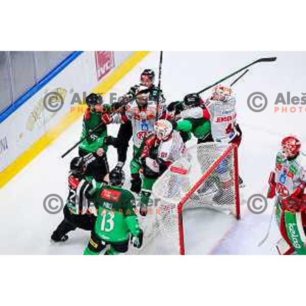 of SZ Olimpija in action during IceHL 2025/2026 ice-hockey match between SZ Olimpija and KAC in Tivoli Hall, Ljubljana, Slovenia on November 16, 2025