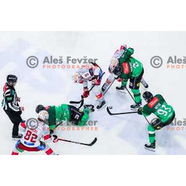 of SZ Olimpija in action during IceHL 2025/2026 ice-hockey match between SZ Olimpija and KAC in Tivoli Hall, Ljubljana, Slovenia on November 16, 2025