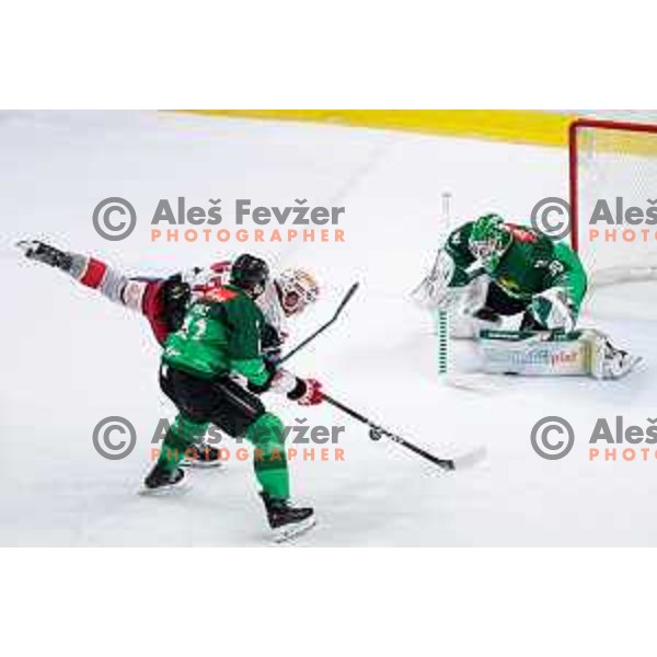 Ziga Pancec and Luka Kolin of SZ Olimpija in action during IceHL 2025/2026 ice-hockey match between SZ Olimpija and KAC in Tivoli Hall, Ljubljana, Slovenia on November 16, 2025