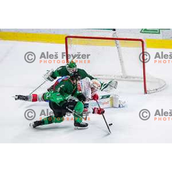 Ziga Pancec and Luka Kolin of SZ Olimpija in action during IceHL 2025/2026 ice-hockey match between SZ Olimpija and KAC in Tivoli Hall, Ljubljana, Slovenia on November 16, 2025