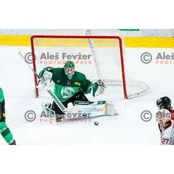 Luka Kolin of SZ Olimpija in action during IceHL 2025/2026 ice-hockey match between SZ Olimpija and KAC in Tivoli Hall, Ljubljana, Slovenia on November 16, 2025