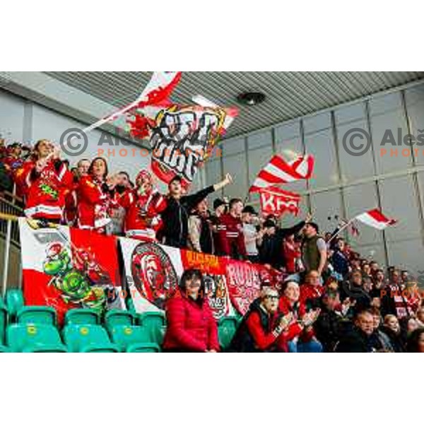 Fans of KAC celebrate victory at IceHL 2025/2026 ice-hockey match between SZ Olimpija and KAC in Tivoli Hall, Ljubljana, Slovenia on November 16, 2025