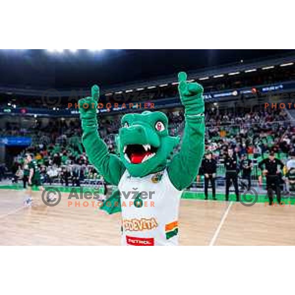 in action during AdmiralBet ABA League 2025/2026 basketball match between Cedevita Olimpija (SLO) and Crvena Zvezda (SRB) in SRC Stozice, Ljubljana, Slovenia on November 17, 2025.