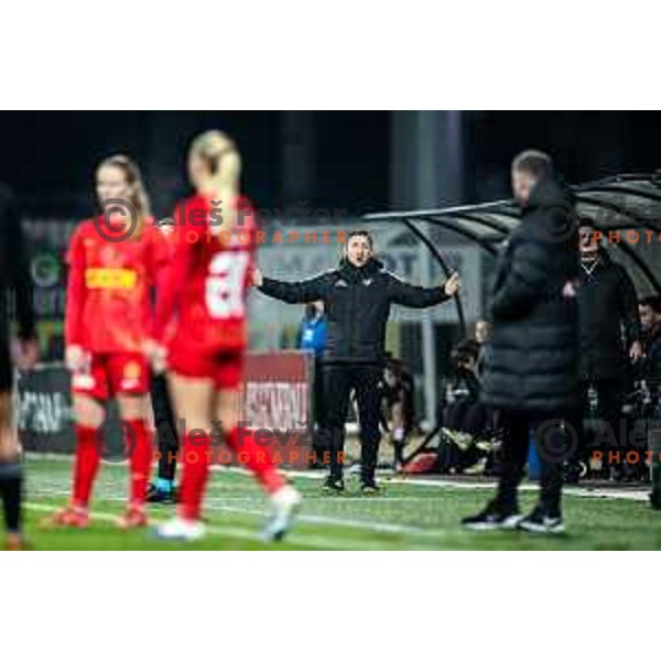 Vladimir Kokol, head coach of ZNK Mura Nona during UEFA Women’s Europa Cup football match between ZNK Mura Nona (SLO) and FC Nordsjaelland (DEN) in Fazanerija, Murska Sobota, Slovenia on November 19, 2025. Photo: Jure Banfi