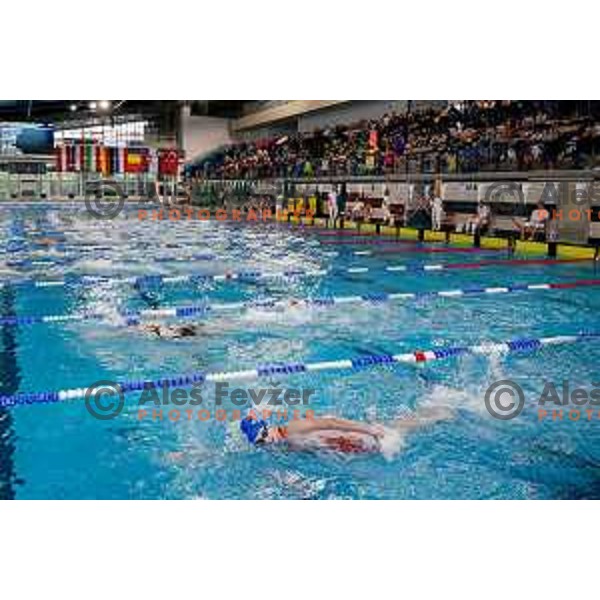 during Spela & Vesna Memorial International swimming meeting in Kranj, Slovenia on November 22, 2025