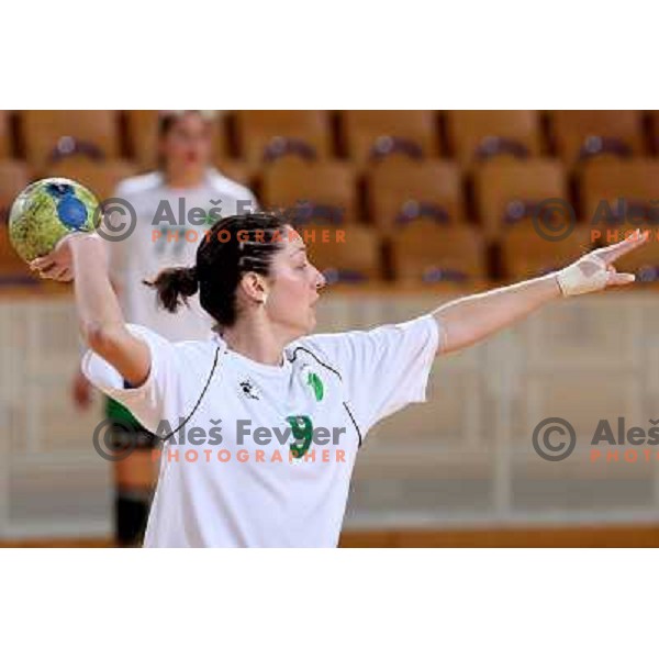 Nina Jericek at handball match RK Olimpija(Slovenia) - Fram (Iceland) in Women\'s Challenge Cup, played in Ljubljana 9.11.2008. RK Olimpija won 36:27 and advanced to next round 