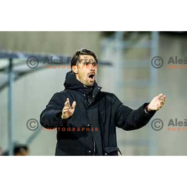 in action during Prva liga Telemach 2025/2026 football match between Primorje and Mura in Ajdovscina, Slovenia on November 23 , 2025