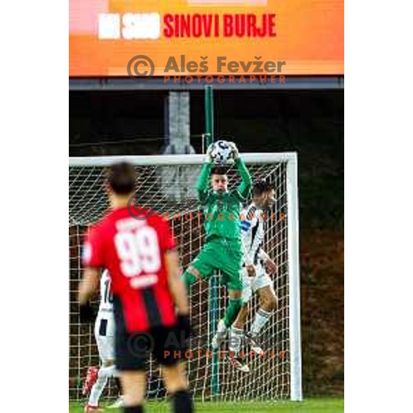in action during Prva liga Telemach 2025/2026 football match between Primorje and Mura in Ajdovscina, Slovenia on November 23 , 2025