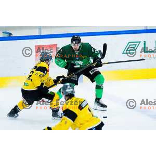 Bine Masic of SZ Olimpija in action during IceHL 2025/2026 ice hockey match between SZ Olimpija and HC Falkensteiner Pustertal in Tivoli Hall, Ljubljana, Slovenia on November 26, 2025. Photo: Filip Barbalic