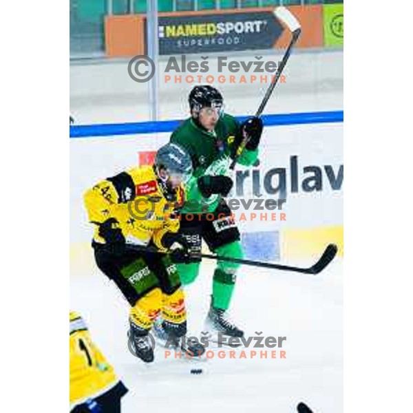 Bine Masic of SZ Olimpija in action during IceHL 2025/2026 ice hockey match between SZ Olimpija and HC Falkensteiner Pustertal in Tivoli Hall, Ljubljana, Slovenia on November 26, 2025. Photo: Filip Barbalic