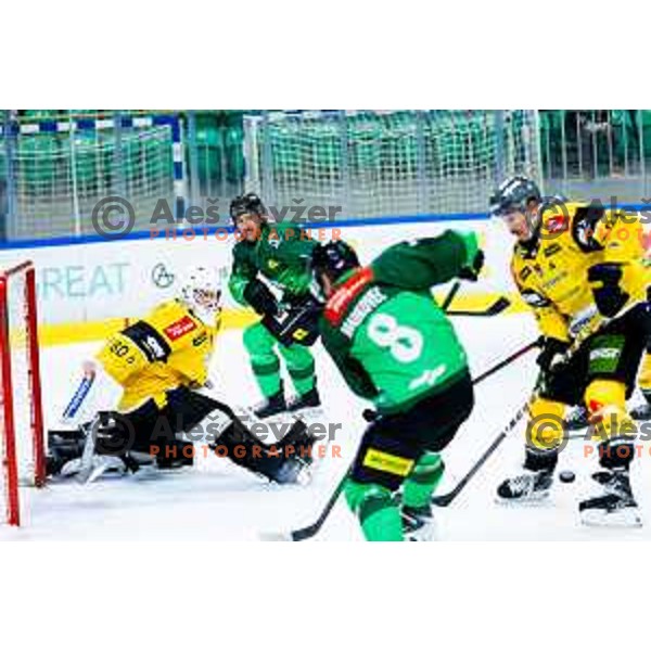 in action during IceHL 2025/2026 ice hockey match between SZ Olimpija and HC Falkensteiner Pustertal in Tivoli Hall, Ljubljana, Slovenia on November 26, 2025. Photo: Filip Barbalic