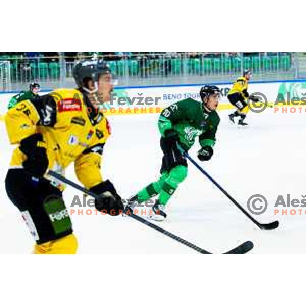 Miha Bericic of SZ Olimpija in action during IceHL 2025/2026 ice hockey match between SZ Olimpija and HC Falkensteiner Pustertal in Tivoli Hall, Ljubljana, Slovenia on November 26, 2025. Photo: Filip Barbalic