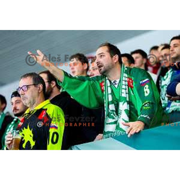 Fans of SZ Olimpija in action during IceHL 2025/2026 ice hockey match between SZ Olimpija and HC Falkensteiner Pustertal in Tivoli Hall, Ljubljana, Slovenia on November 26, 2025. Photo: Filip Barbalic