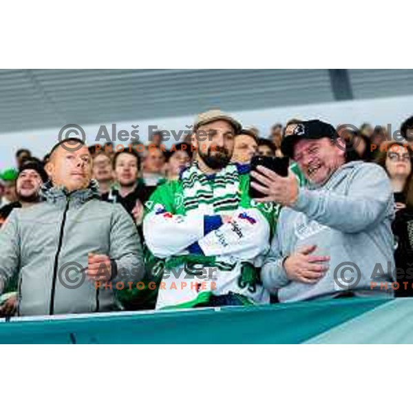 Fans of SZ Olimpija in action during IceHL 2025/2026 ice hockey match between SZ Olimpija and HC Falkensteiner Pustertal in Tivoli Hall, Ljubljana, Slovenia on November 26, 2025. Photo: Filip Barbalic