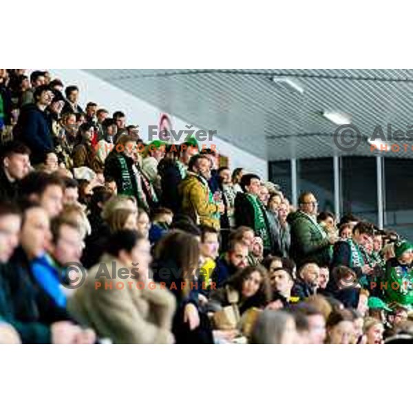 Fans of SZ Olimpija in action during IceHL 2025/2026 ice hockey match between SZ Olimpija and HC Falkensteiner Pustertal in Tivoli Hall, Ljubljana, Slovenia on November 26, 2025. Photo: Filip Barbalic