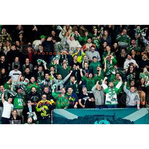Fans of SZ Olimpija in action during IceHL 2025/2026 ice hockey match between SZ Olimpija and HC Falkensteiner Pustertal in Tivoli Hall, Ljubljana, Slovenia on November 26, 2025. Photo: Filip Barbalic