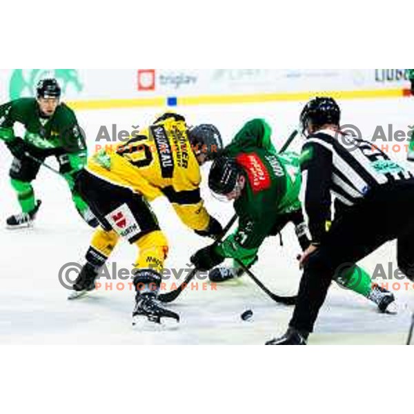 Marly Quince of SZ Olimpija in action during IceHL 2025/2026 ice hockey match between SZ Olimpija and HC Falkensteiner Pustertal in Tivoli Hall, Ljubljana, Slovenia on November 26, 2025. Photo: Filip Barbalic