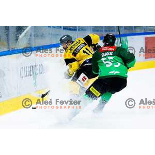 Markus Lauridsen of HC Falkensteiner Pustertal and Robert Sabolic of SZ Olimpija in action during IceHL 2025/2026 ice hockey match between SZ Olimpija and HC Falkensteiner Pustertal in Tivoli Hall, Ljubljana, Slovenia on November 26, 2025. Photo: Filip Barbalic