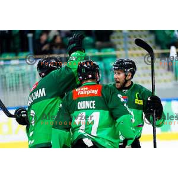 Robert Sabolic of SZ Olimpija celebrates goal during IceHL 2025/2026 ice hockey match between SZ Olimpija and HC Falkensteiner Pustertal in Tivoli Hall, Ljubljana, Slovenia on November 26, 2025. Photo: Filip Barbalic