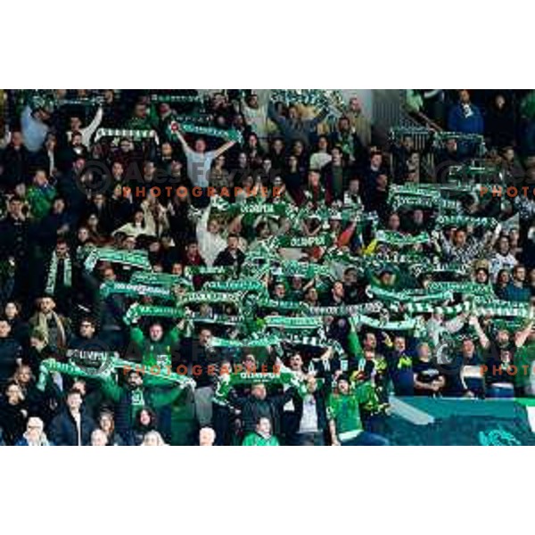 Fans of SZ Olimpija in action during IceHL 2025/2026 ice hockey match between SZ Olimpija and HC Falkensteiner Pustertal in Tivoli Hall, Ljubljana, Slovenia on November 26, 2025. Photo: Filip Barbalic
