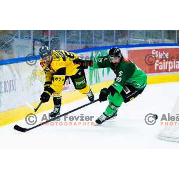 Mats Mikael Frycklund of HC Falkensteiner Pustertal and Alex Petan of SZ Olimpija in action during IceHL 2025/2026 ice hockey match between SZ Olimpija and HC Falkensteiner Pustertal in Tivoli Hall, Ljubljana, Slovenia on November 26, 2025. Photo: Filip Barbalic