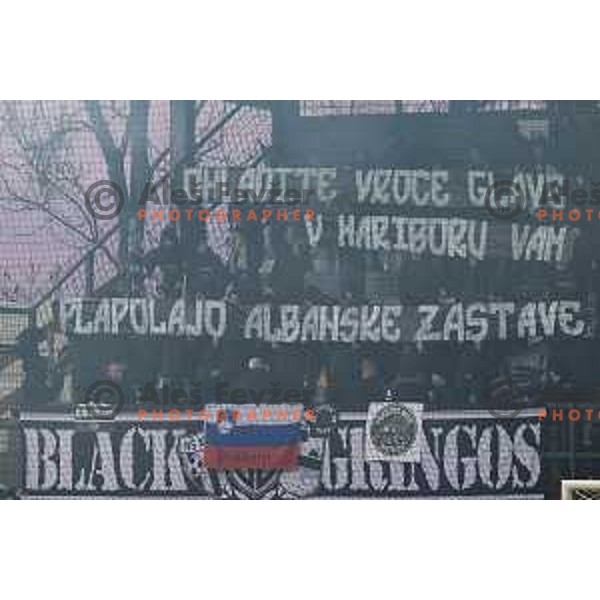 Black Gringos during Prva liga Telemach 2025/26 football match between NK Mura and NK Maribor in Fazanerija, Murska Sobota, Slovenia on November 29, 2025. Photo: Jure Banfi