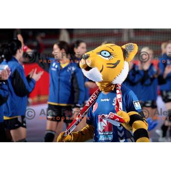 Krim Tigress at handball match Krim Mercator (SLO)- Metz Handball (FRA) in round2 of EHF Women\'s Championsleague, played in Ljubljana, Slovenia 9.11.2008. Metz Handball won 31:26 