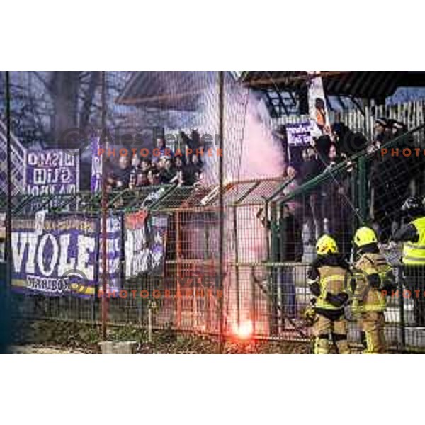 Viole during Prva liga Telemach 2025/26 football match between NK Mura and NK Maribor in Fazanerija, Murska Sobota, Slovenia on November 29, 2025. Photo: Jure Banfi