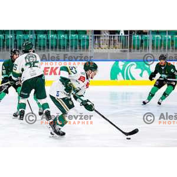 of SZ Olimpija in action during IceHL 2025/2026 ice-hockey match between SZ Olimpija and FTC Ferencvaros in Tivoli Hall, Ljubljana, Slovenia on November 30, 2025