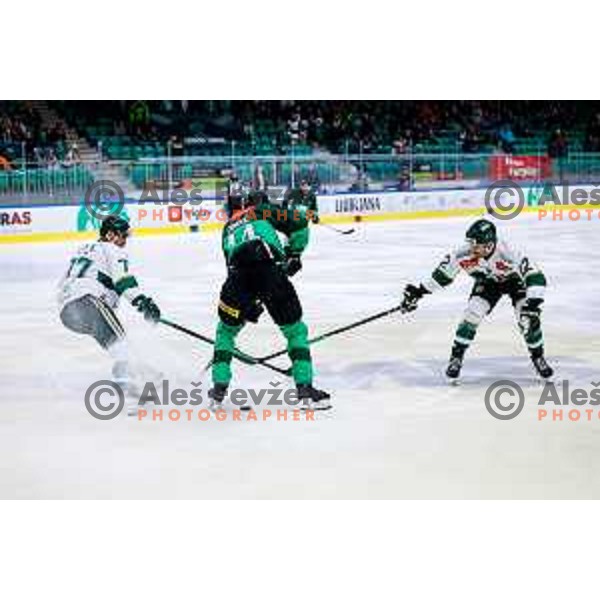 of SZ Olimpija in action during IceHL 2025/2026 ice-hockey match between SZ Olimpija and FTC Ferencvaros in Tivoli Hall, Ljubljana, Slovenia on November 30, 2025